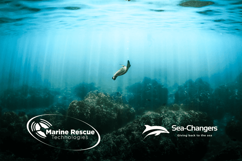 New Marine Conservation Innovation Fund Partnership with Sea Changers Charity
